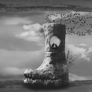 artwork by Barbad Rahnama artwork by Barbad Rahnama