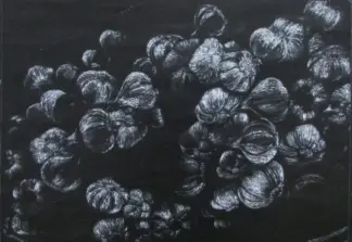 artwork by Fatemeh Pishvaee