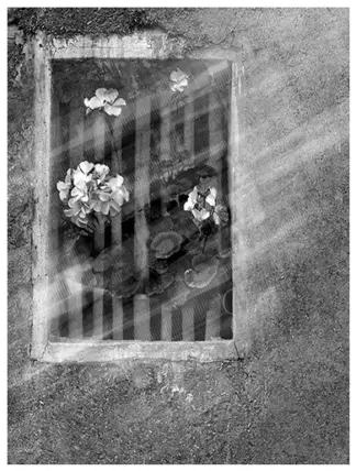 artwork by Majid Roshan artwork by Majid Roshan