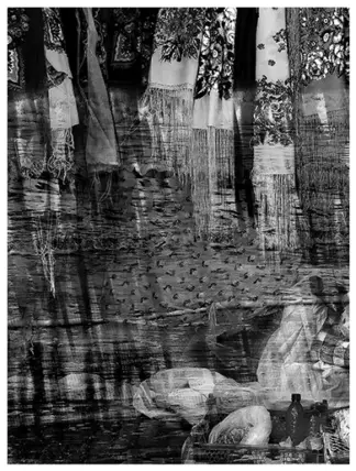artwork by Majid Roshan artwork by Majid Roshan