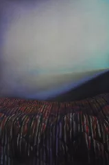 اثر هنرمند ساناز سهرابی