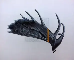 artwork by Maryam Ghorbani