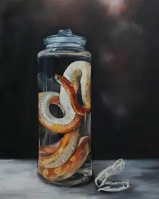 artwork by Mina Hajizeinolabedin artwork by Mina Hajizeinolabedin