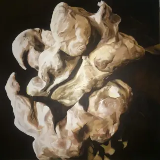 اثر سمانه كريمى