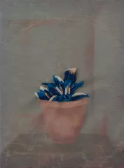 artwork by Ayda Salami