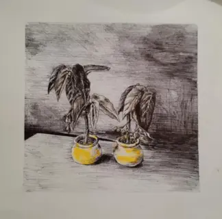 artwork by Fahime Eslamkish