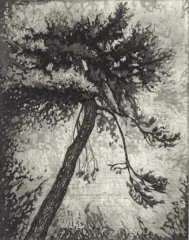 artwork by Nastaran Safarabadi