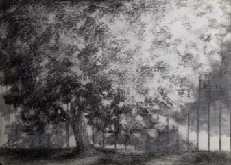 artwork by Sina Gallehdary