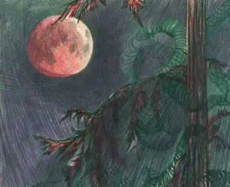 artwork by Anahita Darabbeigi artwork by Anahita Darabbeigi
