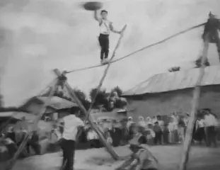 اثر هنرمند مهسا حبیبی
