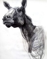 اثر هنرمند بهزاد احمدی