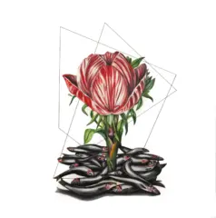 artwork by Nazanin Khosronia
