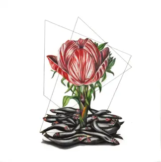 artwork by Nazanin Khosronia