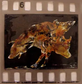 artwork by Sanaz Haeri artwork by Sanaz Haeri