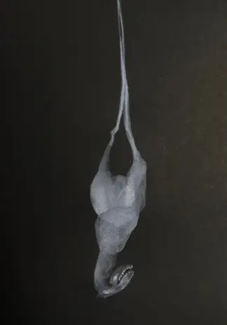 artwork by fereshteh hemati artwork by fereshteh hemati