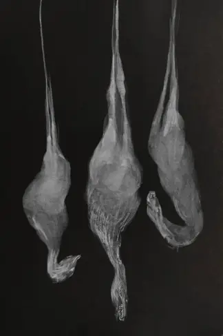 artwork by fereshteh hemati artwork by fereshteh hemati