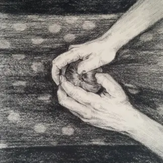 artwork by Asra Golmohammadii artwork by Asra Golmohammadii