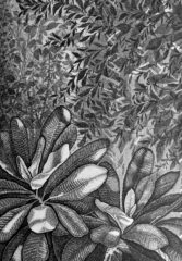 اثر هنرمند فاطمه ستاره