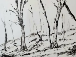 artwork by Narges Nazari artwork by Narges Nazari