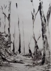 اثر هنرمند نرگس نظری