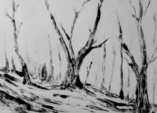 artwork by Narges Nazari artwork by Narges Nazari