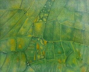 اثر هنرمند پارمیدا پروانه