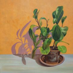 اثر هنرمند رضا میرشفیعی