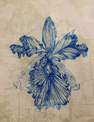 artwork by Aida Serati artwork by Aida Serati