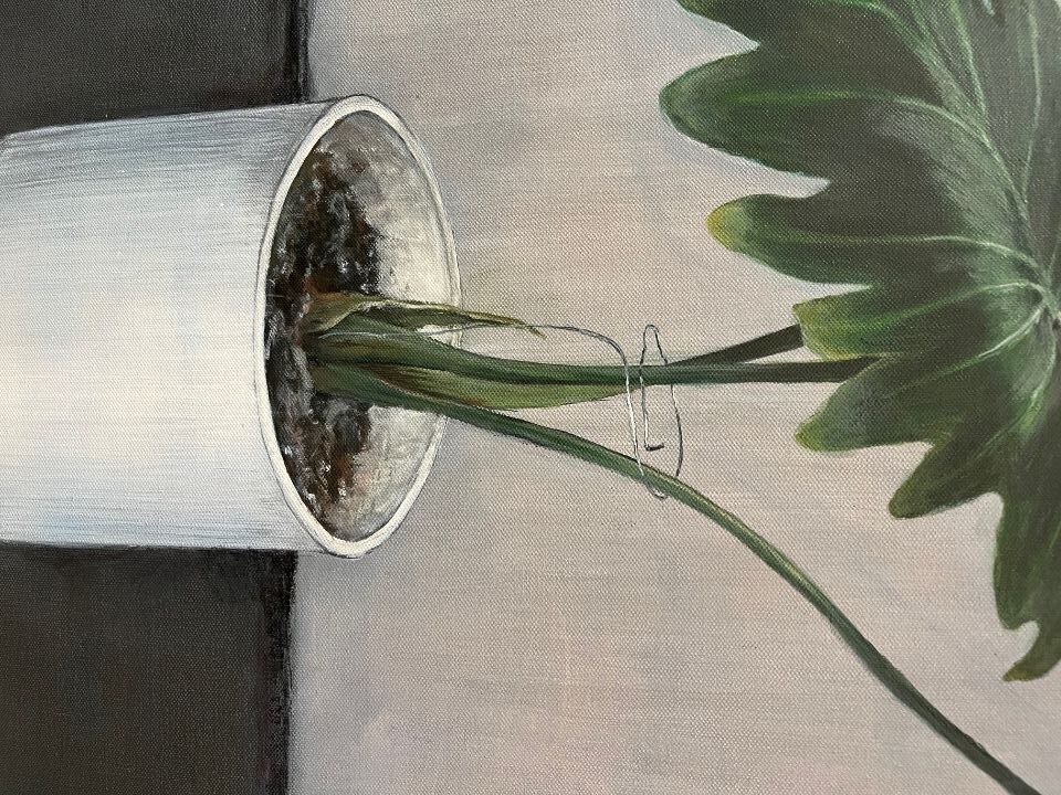artwork by Hanieh Lashgari artwork by Hanieh Lashgari