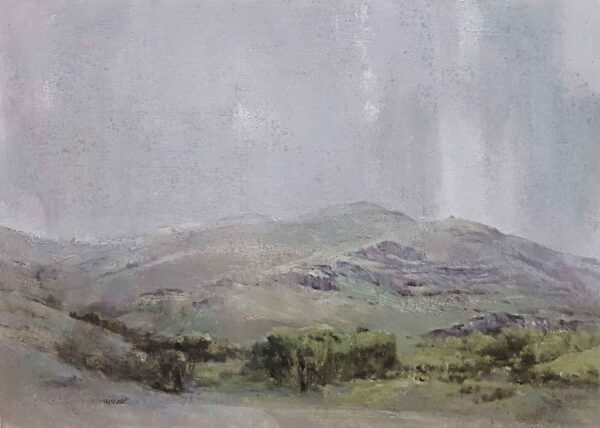 اثر ترحم سلمانی