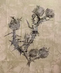 artwork by Aida Serati
