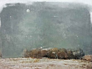 اثر ترحم سلمانی