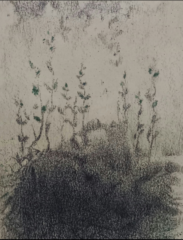 اثر هنرمند سیدمحمد نقیب