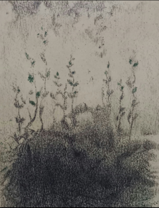 artwork by Ershad Raftari