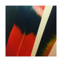 اثر هنرمند زهره کیانیان