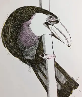اثر سمانه جعفری